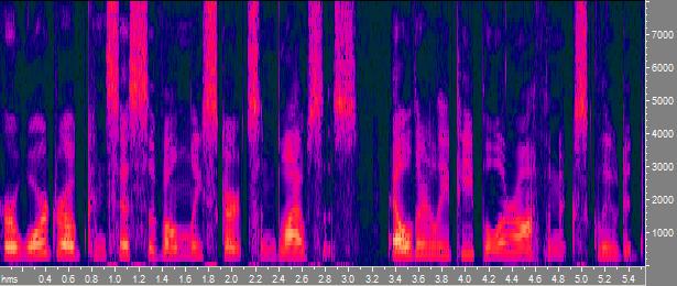 Spectrogram of two sentences from the TIMIT corpus.